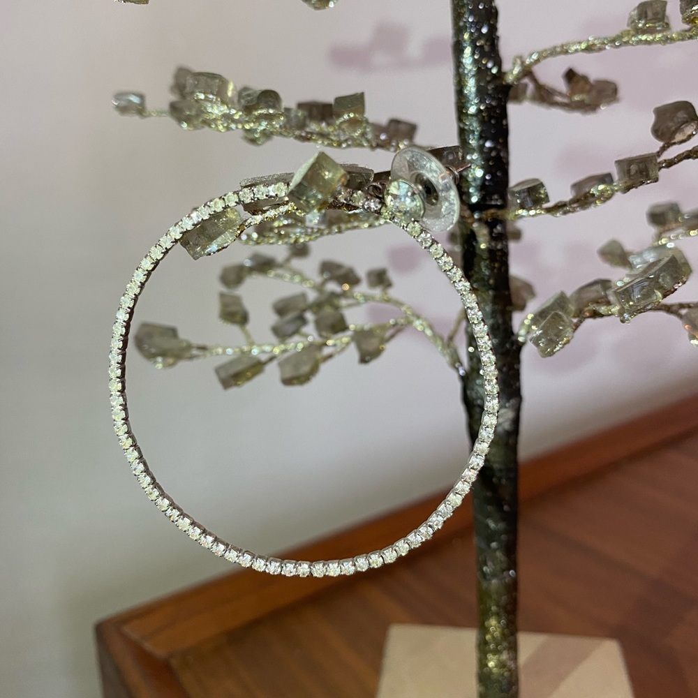 Rhinestone hoop earrings